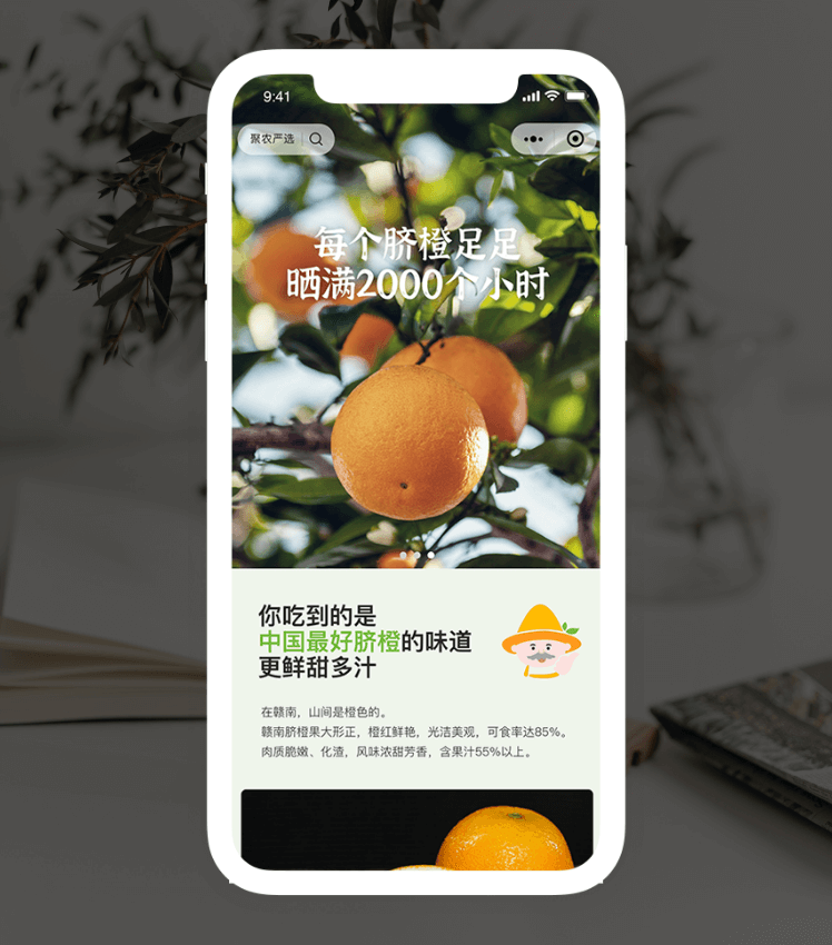 k8凯发官网(中国)天生赢家·一触即发